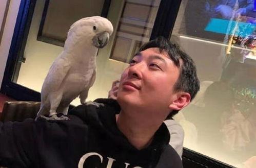 网红吃瓜王思聪视频