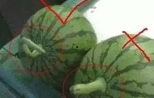 吃瓜网永远的,揭秘网络舆论场的永恒魅力 第3张 吃瓜网永远的,揭秘网络舆论场的永恒魅力 第3张