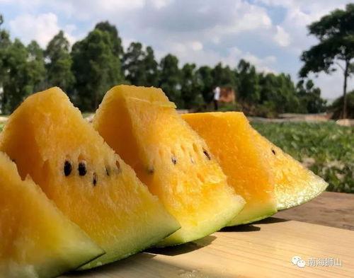 网红网暴吃瓜,吃瓜群众如何成为推手 第3张 网红网暴吃瓜,吃瓜群众如何成为推手 第3张