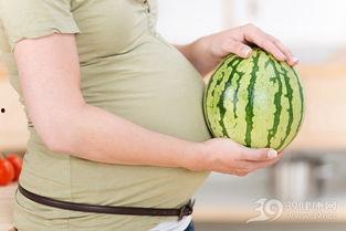 孕妇可以吃网瓜,网瓜的营养与食用指南