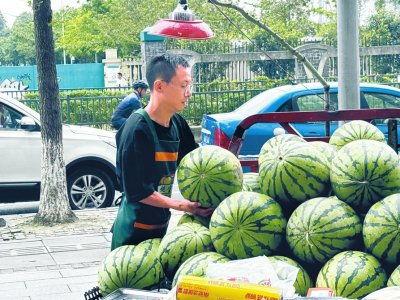 摆摊网红吃瓜视频下载大全,摆摊界的趣味盛宴下载大全  第2张