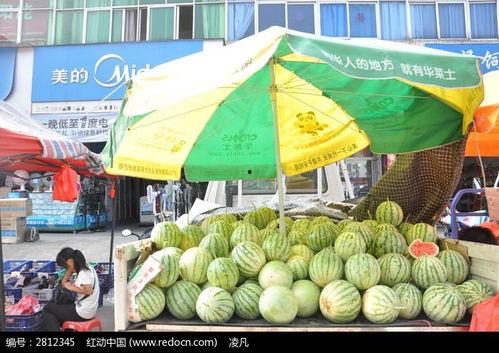 摆摊网红吃瓜视频下载大全,摆摊界的趣味盛宴下载大全  第3张