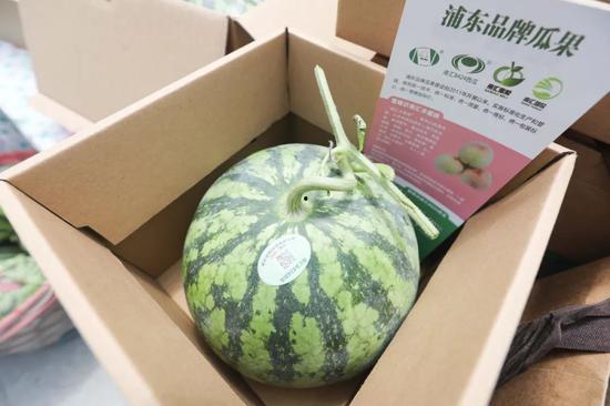 网红吃瓜人口,揭秘娱乐圈幕后真相  第2张