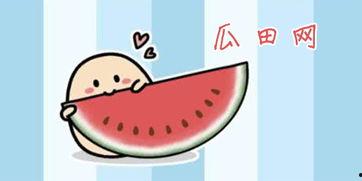 吃瓜网九言从不咕咕,揭秘吃瓜网背后的趣味与智慧  第3张