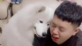 官狼吃瓜网,揭秘娱乐圈幕后真相，带你领略明星生活百态  第2张