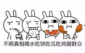 永不迷路吃瓜网,揭秘网络世界的绿色导航之旅  第2张