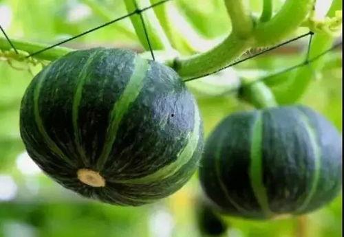 10月网红吃瓜事件真相,真相大白，反转再反转  第2张