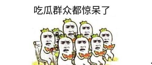 吃瓜群众最帅素材下载百度网盘,揭秘百度网盘下载攻略  第3张