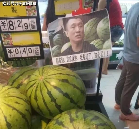 网红星野吃瓜,揭秘网红圈幕后故事  第2张