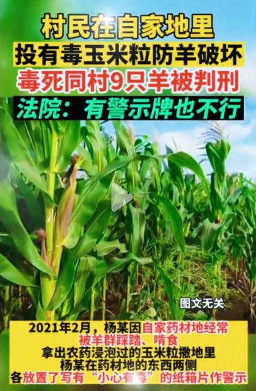 51吃瓜 网夸克  第2张