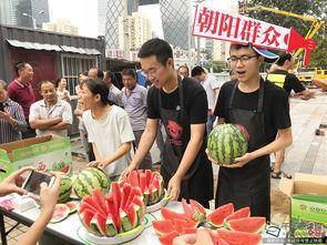 吃瓜朝阳群众网,揭秘网络热点背后的“吃瓜朝阳群众”现象