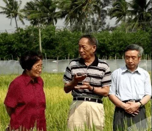 吃瓜91网,热门话题背后的真相与趣味  第3张
