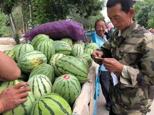 金昌网红吃瓜事件,揭秘网络舆论的风暴与真相